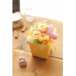 宮城県仙台市青葉区大沼花店の花　シャンゼリゼオレンジ(オレンジ)