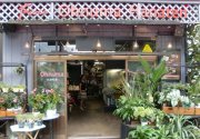 「大沼花店」　（宮城県仙台市青葉区）の花屋店舗写真2